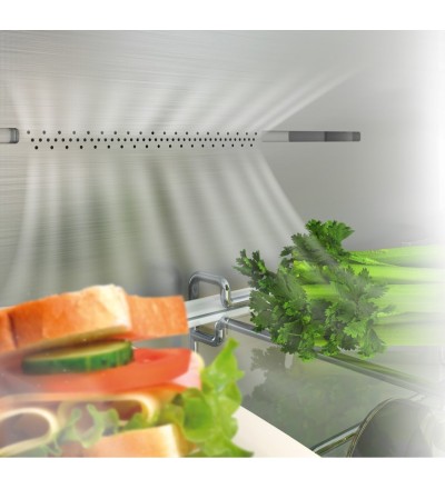 Hisense Hisense Frigorifero Congelatore RB440N4ACD 336L No Frost Libera Installazione Inox Hisense Hisense Frigorifero Congelatore RB440N4ACD 336L No Frost Libera Installazione Inox