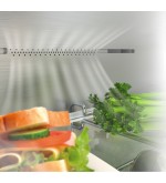 Hisense Hisense Frigorifero Congelatore RB440N4ACD 336L No Frost Libera Installazione Inox Hisense Hisense Frigorifero Congelatore RB440N4ACD 336L No Frost Libera Installazione Inox