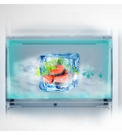 Hisense Hisense Frigorifero Congelatore RB440N4ACD 336L No Frost Libera Installazione Inox Hisense Hisense Frigorifero Congelatore RB440N4ACD 336L No Frost Libera Installazione Inox