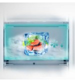 Hisense Hisense Frigorifero Congelatore RB440N4ACD 336L No Frost Libera Installazione Inox Hisense Hisense Frigorifero Congelatore RB440N4ACD 336L No Frost Libera Installazione Inox