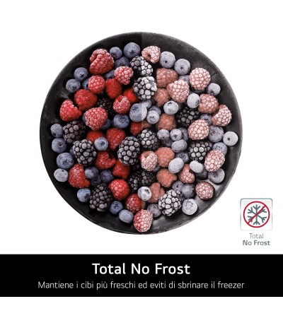 LG Lg Frigorifero Doppia Porta GTBV44PYBKD 461L No Frost Classe E Argento LG Lg Frigorifero Doppia Porta GTBV44PYBKD 461L No Frost Classe E Argento