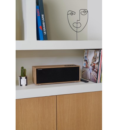 Onebby Onebby Diffusore Bluetooth WS702 Cassa in Legno 150W Onebby Onebby Diffusore Bluetooth WS702 Cassa in Legno 150W