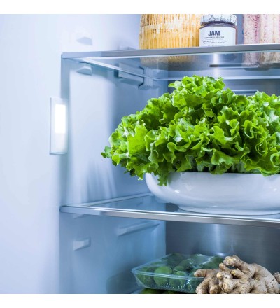 Midea MIDEA FRIGO COMBINATO TOTAL NO FROST 435LT E 70CM INOX MDRB593FGE02 Midea MIDEA FRIGO COMBINATO TOTAL NO FROST 435LT E 70CM INOX MDRB593FGE02